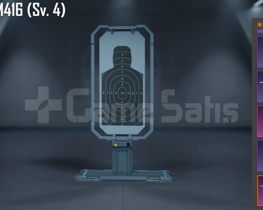 Buz m416 4 seviye öğrenci hesabı