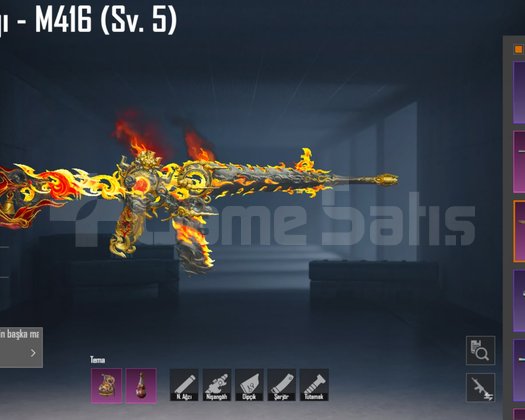 Kızıl gökbıcağı m416 5 seviye öğrenci hesabı