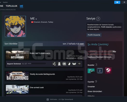 steam hesap ready or not lı