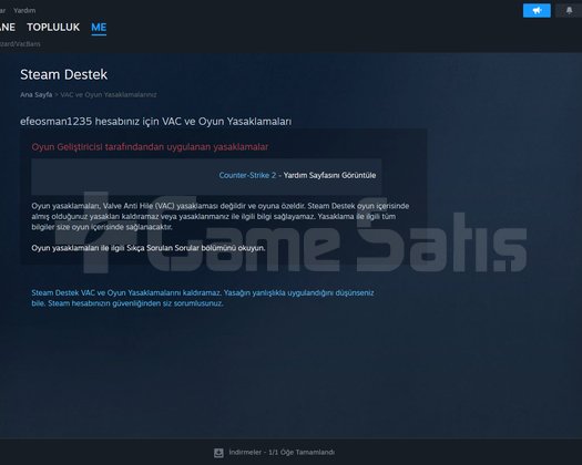 steam hesap ready or not lı