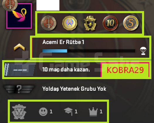 100.000 TL OYUN+ NADİR 5 MADALYALI HESAP