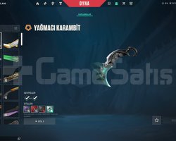 22 SKİNLİ MAİL VE İSİM DEĞİŞEN HESAP