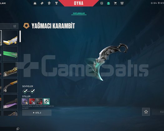 22 SKİNLİ MAİL VE İSİM DEĞİŞEN HESAP