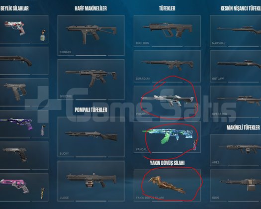 3 skinli dolu