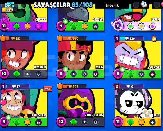 Brawl stars hesap