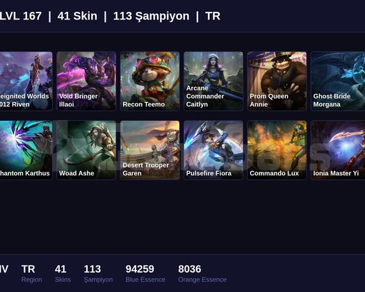 TR / 167 LVL + 41 SKİN + SILVER IV !!