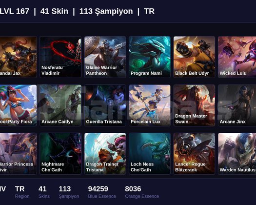 TR / 167 LVL + 41 SKİN + SILVER IV !!