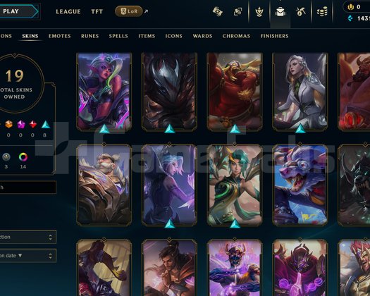 TR Plat 1 19 Skin hesap