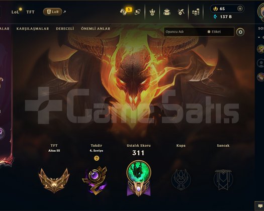EUW 164 LEVEL MAİLLİ 137K MAVİ ÖZLÜ 40 SKİNLİ!!!