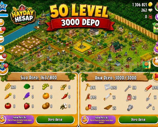 50 Level 3000 Depolu Hesap/Arazi