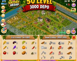 50 Level 3000 Depolu Hesap/Ağıl