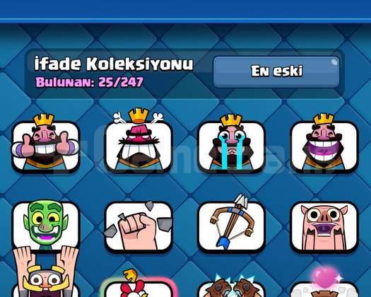 5600 Kupa 3 Evrimli Hesap