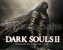 DARK SOULS II Scholar of the First Sin + Garanti
