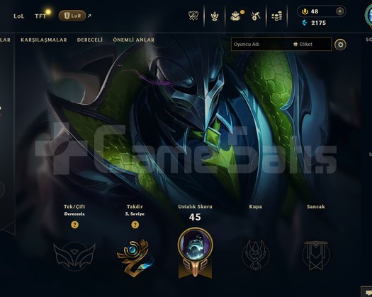 EUW Unranked | 10 Kostüm - 58 Hero | Ranked Ready