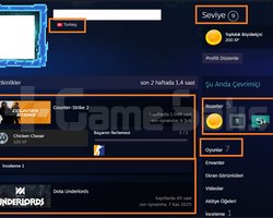 PUBG PLUS Little Nightmares 4200 TL STEAM OYUN ENV