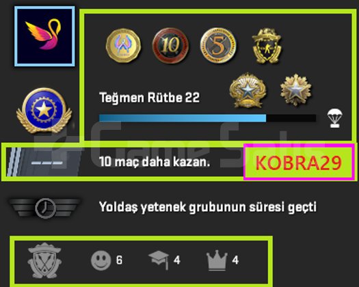 FACEİT+ 6 MADALYA 310 WİN 587 SAAT SEÇKİN
