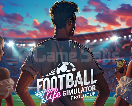 Football Life Simulator + Garanti