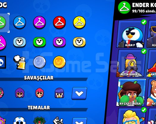 Zengin içerikli brawl stars hesabı emek hesabı