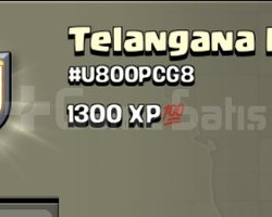 8 SEVİYE KRAL İSİMLİ KLAN TELANGANA KINGS