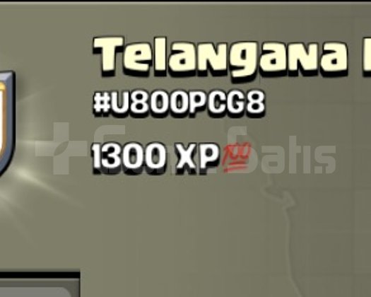 8 SEVİYE KRAL İSİMLİ KLAN TELANGANA KINGS