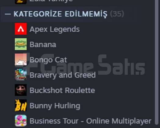 41 LEVEL STEAM PRİME HESAP