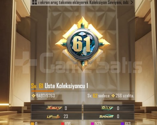 Pubg emek hesap