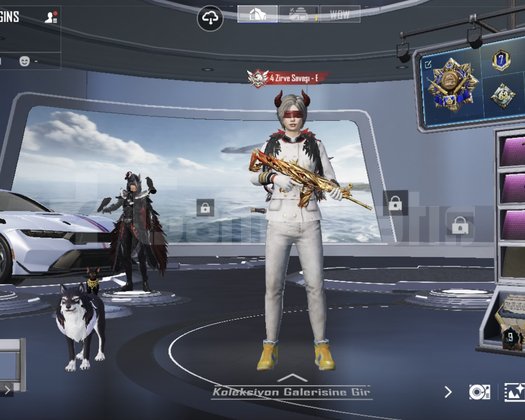 SATILIK PREMİUM PUBG MOBILE HESABI  Lv.63