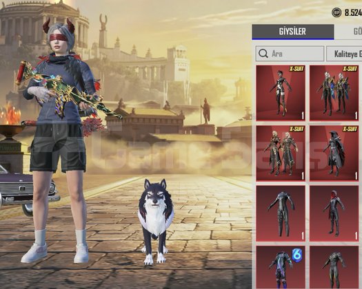 SATILIK PREMİUM PUBG MOBILE HESABI  Lv.63