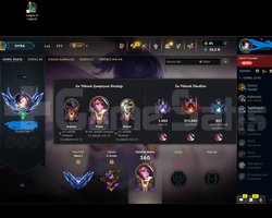 master 300 den erime