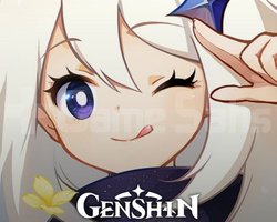 Genshin Daily ve wish kasma