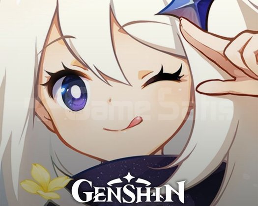Genshin Daily ve wish kasma