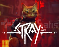 Stray + Garanti