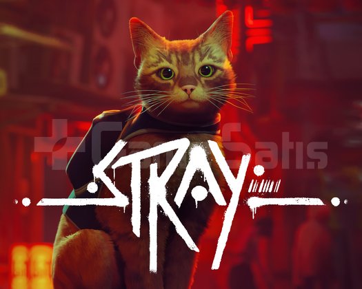 Stray + Garanti