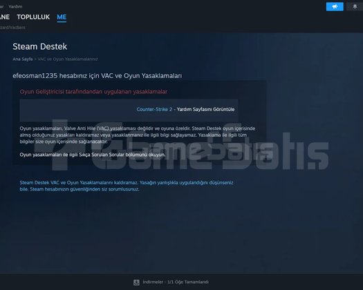 Left 4 Dead 2 + Ready or Not Paralı oyunlar full