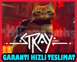 Stray + OTO GUARD + Garanti