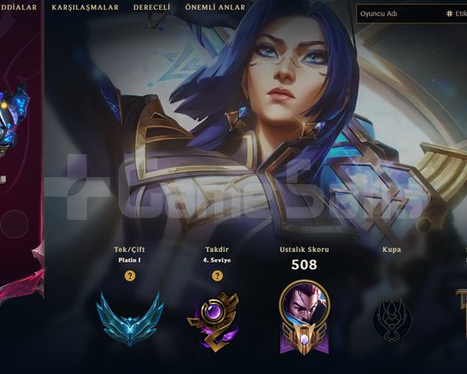 plat 1 341skin