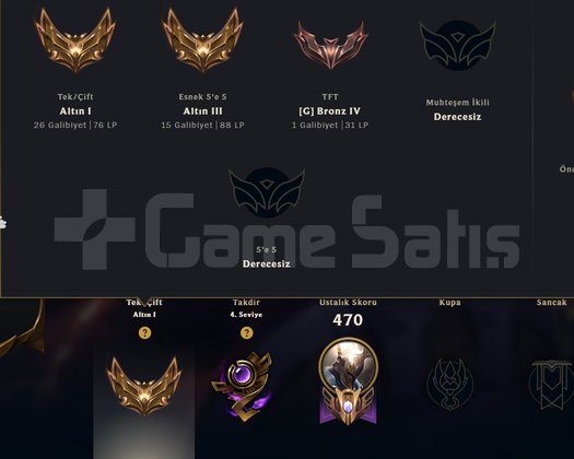 GOLD 1 76 LP 95 SKİN FULL ŞAMPİYON 242 LVL HANMADE