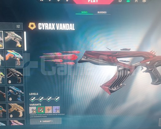 RGX Kelebek + Asil Karambit | Full Ajan | Premium