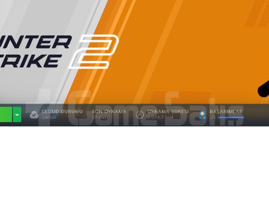 CS HESABI İÇİNDE 103 DOLAR VARDIR