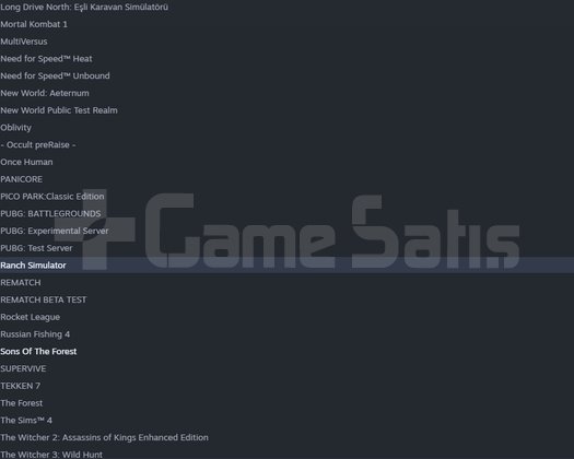 Satilik Steam Hesap