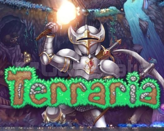 Terrarria PC + Garanti