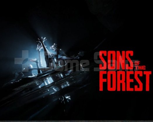 Sons Of The Forest PC + Garanti