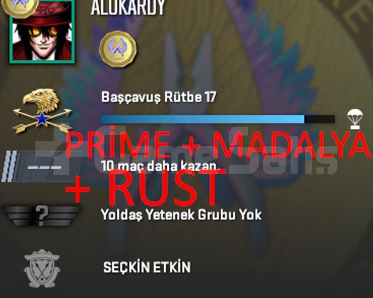 ANINDA | PRİME + RUST + RANK HAZIR + MADALYA !