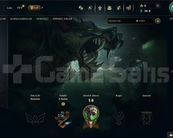 16 lvl warwick skinli 26k mavi öz