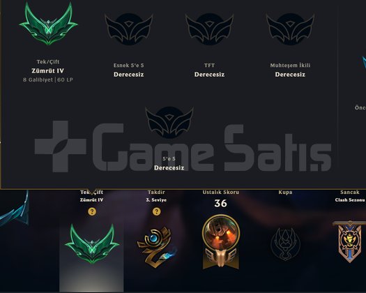 ZÜMRÜT 4 60 LP +30 -10 HİGH MMR 64 WR HANMADE