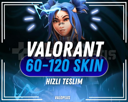 TR SUNUCU 60-120 SKIN VALORANT RANDOM HESAP