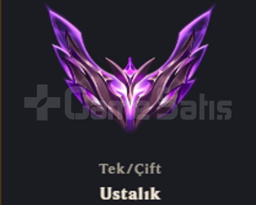 EUW Master 265LP