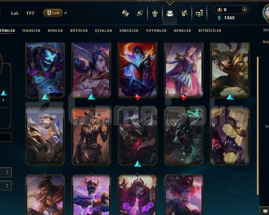 EUW Master 265LP