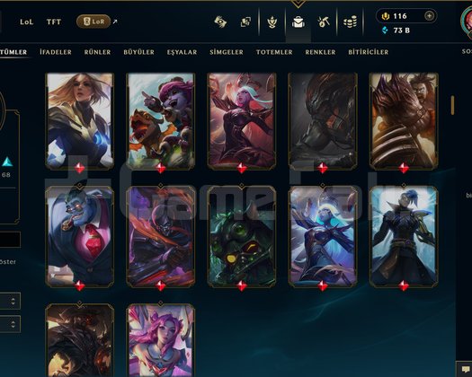 765 LVL + 169 KOSTÜM + 172 HERO + GOLD 2 + MAİL!