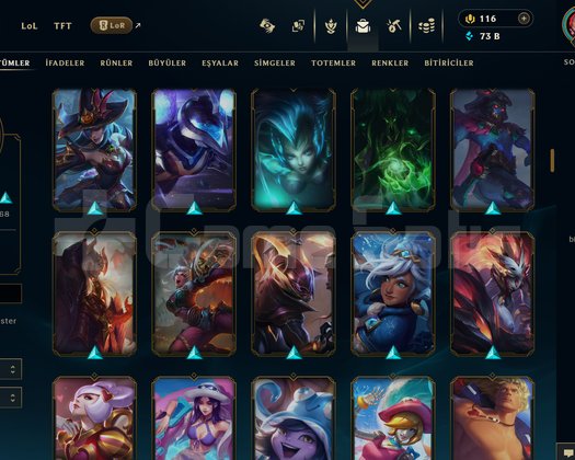 765 LVL + 169 KOSTÜM + 172 HERO + GOLD 2 + MAİL!